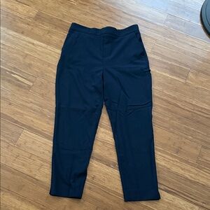 Banana Republic Dark Blue Ankle Pants